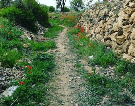 روستای توریستی درسجین ابهر - زنجان