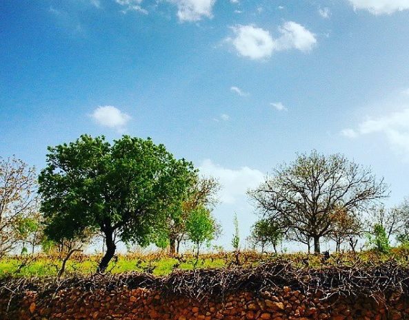 روستای توریستی درسجین ابهر - زنجان