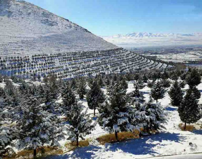 مجموعه گردشگری ائل داغی گاوازنگ زنجان