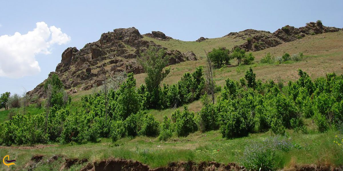 تصویری از منطقه قارقالان