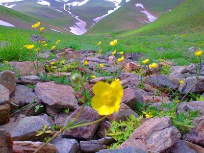 مناظر زیبای قارقالان