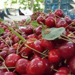 روستای توریستی شیت طارم