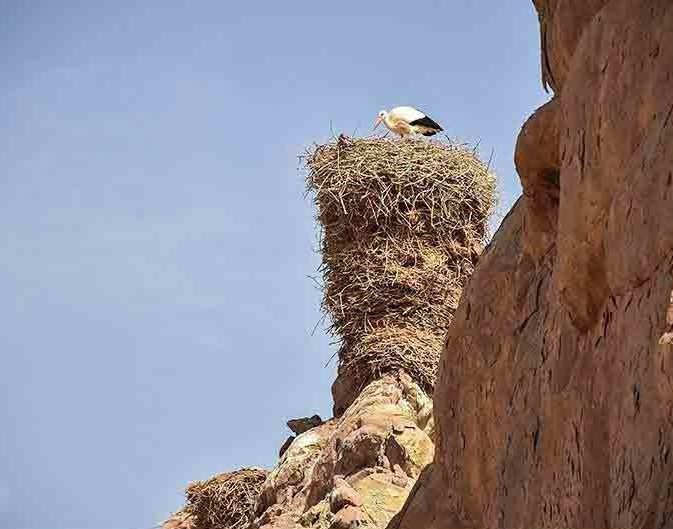 قلعه لک لک ها ماهنشان