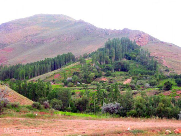 1765651808 804 سد کینه ورس