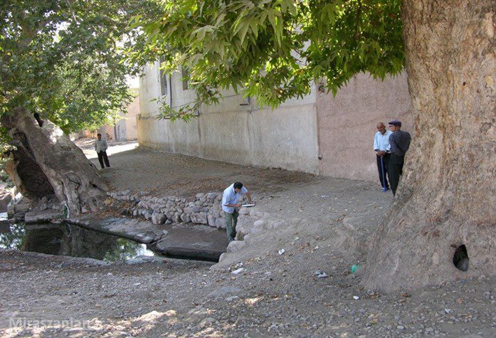 کاریز و درخت چنار دستجرده 3 1765654580 951 کاریز و درخت چنار دستجرده