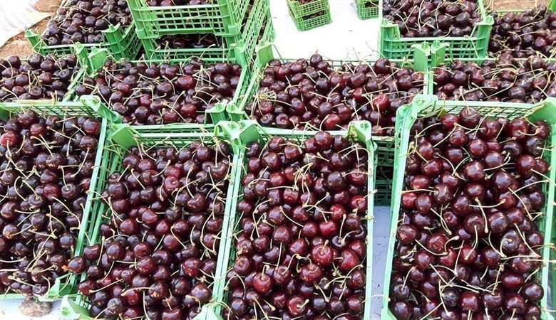روستای توریستی شیت طارم