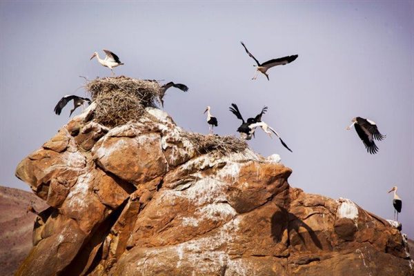 قلعه لک لک ها ماهنشان