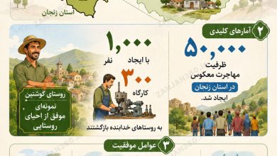 احیای روستاهای خالی از سکنه؛ معجزه مهاجرت معکوس در زنجان 17 مهاجرت معکوس در زنجان