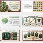 خانهات را به یک بهشت سبز تبدیل کن! پرورش و نگهداری گل های آپارتمانی 3 کتابچه کاربردی نگهداری و پرورش گلهای آپارتمانی