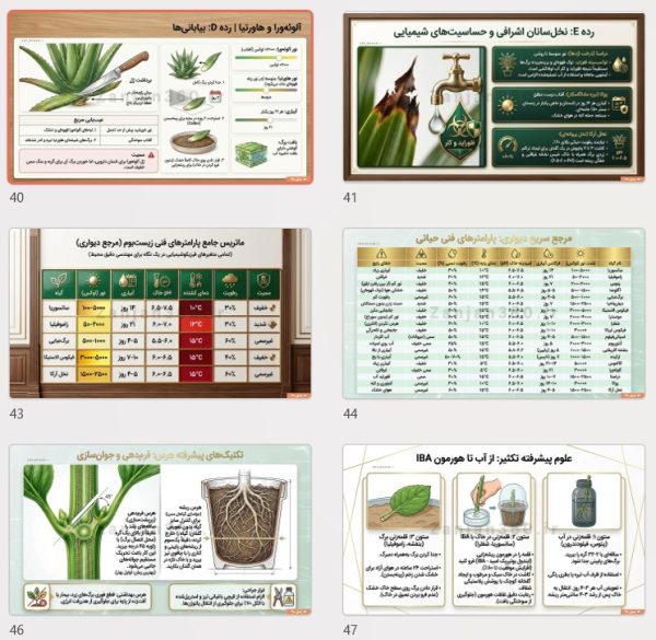 کتابچه کاربردی نگهداری و پرورش گلهای آپارتمانی (60 صفحه مصور رنگی) 3 کتابچه کاربردی نگهداری و پرورش گلهای آپارتمانی