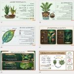 خانهات را به یک بهشت سبز تبدیل کن! پرورش و نگهداری گل های آپارتمانی 5 کتابچه کاربردی نگهداری و پرورش گلهای آپارتمانی