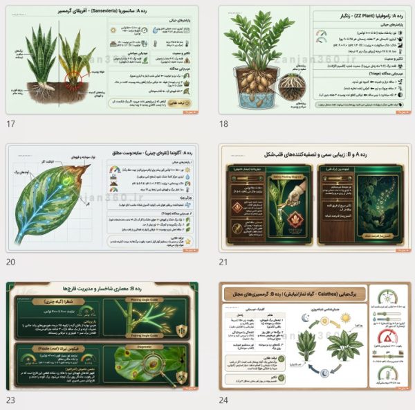 کتابچه کاربردی نگهداری و پرورش گلهای آپارتمانی (60 صفحه مصور رنگی) 2 کتابچه کاربردی نگهداری و پرورش گلهای آپارتمانی
