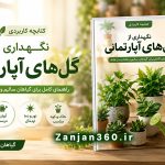 نگهداری و پرورش گل‌های آپارتمانی