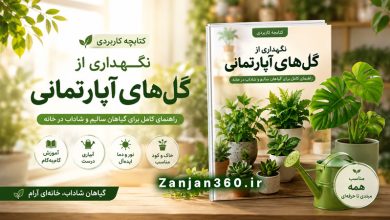 خانهات را به یک بهشت سبز تبدیل کن! پرورش و نگهداری گل های آپارتمانی 17 نگهداری و پرورش گلهای آپارتمانی