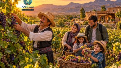 گردشگری کشاورزی در زنجان؛ پیشران توسعه پایدار در روستاهای هدف گردشگری 5 گردشگری کشاورزی در زنجان؛ پیشران توسعه پایدار در روستاهای هدف گردشگری