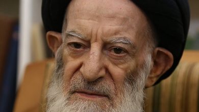 آیتالله سید موسی شبیری زنجانی؛ فقیهی که مرجعیت را در سایهٔ گمنامی زیست 6 آیتالله سید موسی شبیری زنجانی